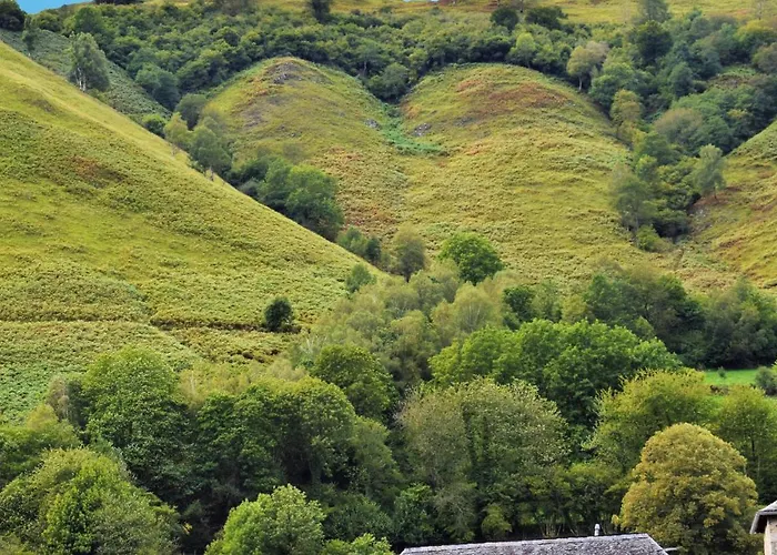 Gorgeous In With Wifi Semesterbostad